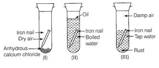 Class 10 Science: CBSE Sample Question Paper- Term I (2019-20) - 2 | Science Class 10