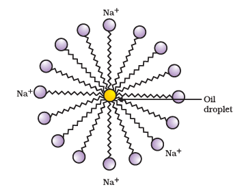 Formation of micelles