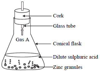 Olympiad Notes: Chemical Reactions and Equations | Olympiad Preparation for Class 10