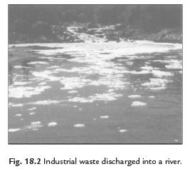 Class 8 Science Question Answers - Pollution of Air and Water (Old Syllabus)