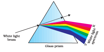 NCERT Exemplar: The Human Eye & the Colourful World | Science Class 10