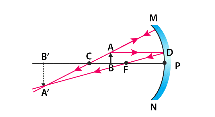 NCERT Exemplar: Light - Reflection & Refraction | Science Class 10