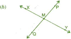 NCERT Solutions for Class 6 Maths Chapter 4 - Basic Geometrical Ideas