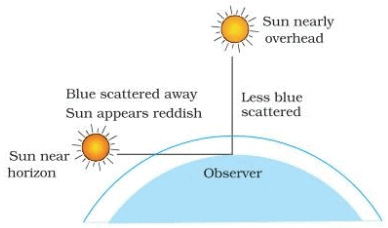 Class 10 Science: CBSE Sample Question Paper (2020-21) - 6 | Science Class 10