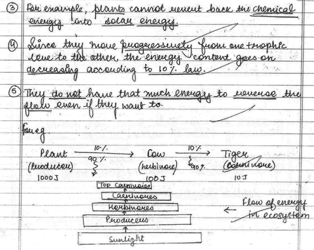 Science Topper`s Answer Sheet - 2019, Class 10