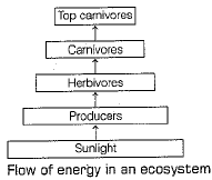Class 10 Science: CBSE Sample Question Paper (2019-20) - 1 | Science Class 10