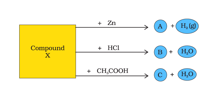 NCERT Exemplar: Acids, Bases & Salts | Science Class 10
