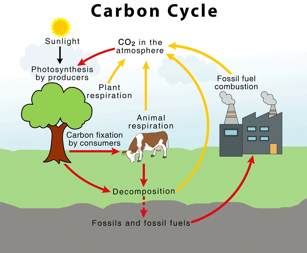 Natural Resources Class 9 Notes Science