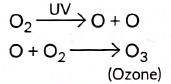Class 10 Science - Previous Year Questions - Our Environment