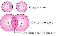 Olympiad Notes: Carbon and Its Compounds | Olympiad Preparation for Class 10
