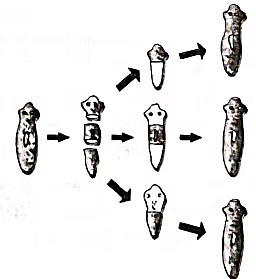 Class 10 Science Chapter 7 Previous Year Questions - How do Organisms Reproduce?