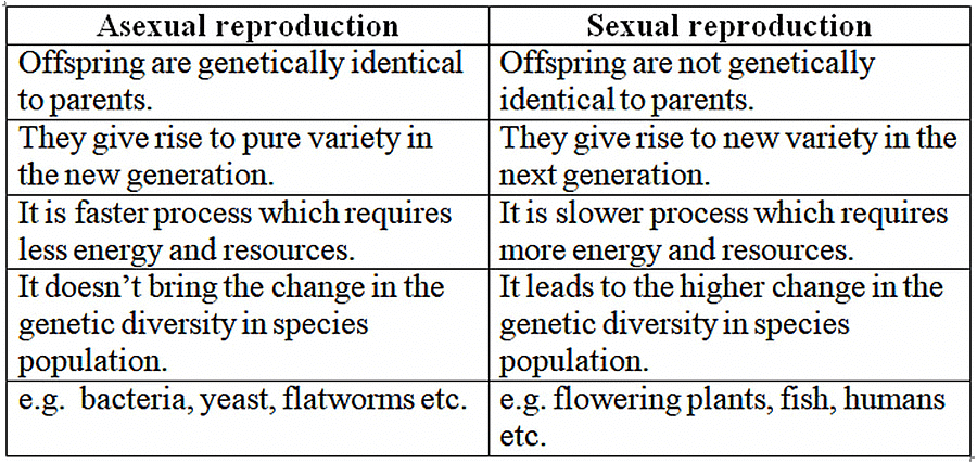 Class 10 Science Chapter 7 Previous Year Questions - How do Organisms Reproduce?