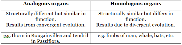 Viva Voce: Homology and Analogy of Plants and Animals - Class 10