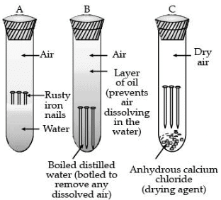 Class 10 Science: CBSE Sample Question Paper (2020-21) - 6 | Science Class 10