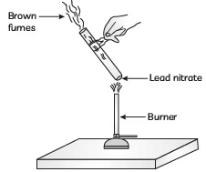 Sure Shot Questions for Board Exams: Chemical Reactions and Equations | Science Class 10