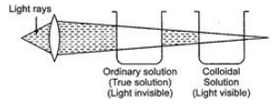 Class 9 Science: Sample Question Paper Term I- 11 (With Solutions)