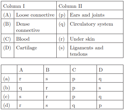 Class 9 Science Chapter 6 Practice Question Answers - Tissues