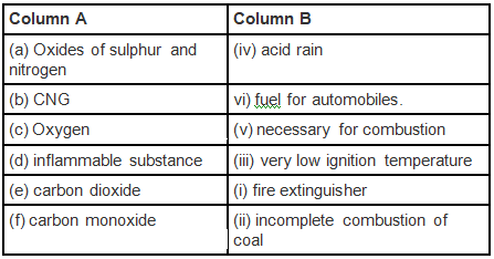 NCERT Exemplar Solutions: Combustion & Flame | Science Class 8