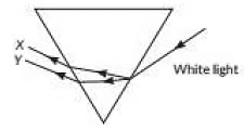 Class 10 Science Chapter 10 Previous Year Questions - The Human Eye and the Colourful World