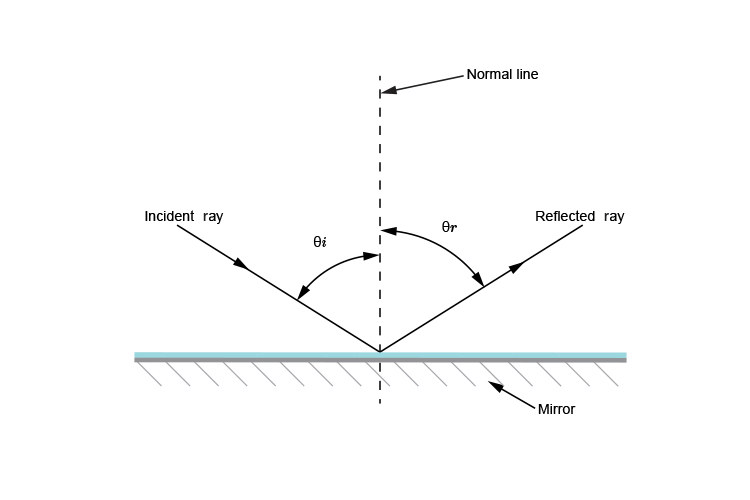 Overview: Light - Reflection & Refraction | Science Class 10