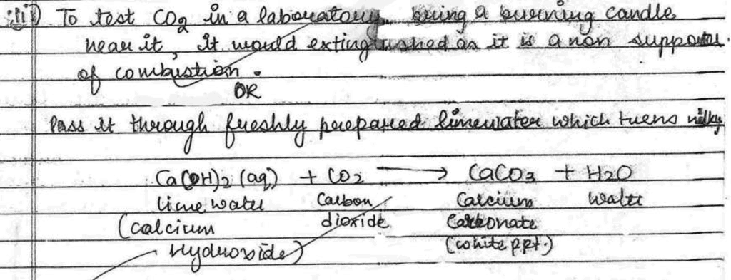 Science Topper`s Answer Sheet - 2019, Class 10