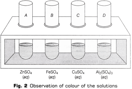 Lab Manual: Reactivity Series - Class 10