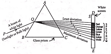 Class 10 Science Chapter 10 Previous Year Questions - The Human Eye and the Colourful World