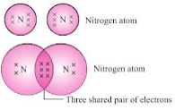 Olympiad Notes: Carbon and Its Compounds | Olympiad Preparation for Class 10