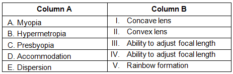 Human Eye and Colourful World Class 10 Worksheet Science Chapter 10