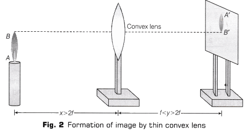 Lab Manual: Image Formation by a Convex Lens - Class 10