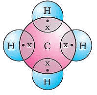 Class 10 Science Chapter 4 Previous Year Questions - Carbon and its compounds