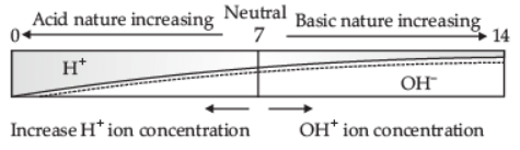 Acids, Bases and Salts - 2 Class 10 Worksheet Science Chapter 2