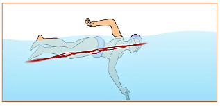 Olympiad Notes: Magnetic Effects of Electric Current | Olympiad Preparation for Class 10
