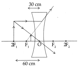 Class 10 Science: CBSE Sample Question Paper (2019-20) - 8 | Science Class 10