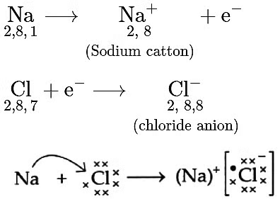 Previous Year Questions 2023