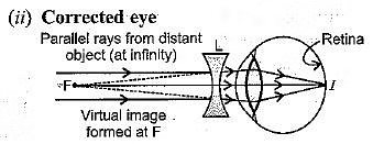 Class 10 Science Chapter 10 Previous Year Questions - The Human Eye and the Colourful World