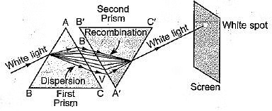 Class 10 Science Chapter 10 Previous Year Questions - The Human Eye and the Colourful World