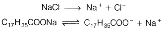 Lab Manual: Soap Preparation - Class 10