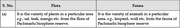 Class 8 Science: Sample Question Paper - 10 | Science Class 8