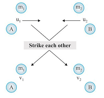 Force & Laws of Motion Summary Class 9 Science