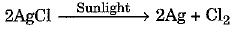 Class 10 Science: CBSE Sample Question Paper (2019-20) - 7 | Science Class 10