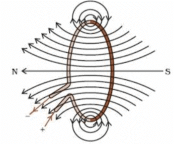 Class 10 Science: CBSE Sample Question Paper (2020-21) - 5 | Science Class 10