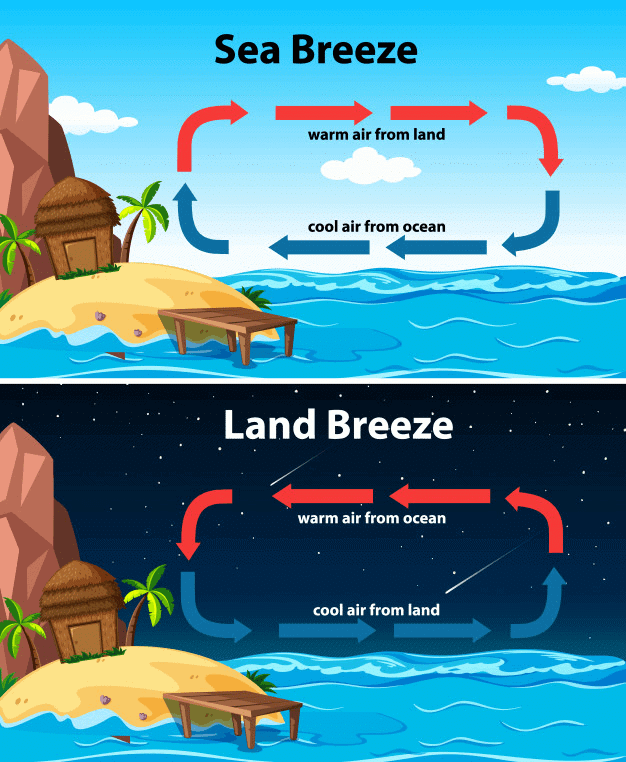 Movement of Air during Day and Night