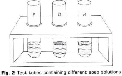 Lab Manual: Cleaning Capacity of Soap in Hard and Soft Water - Class 10