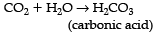 Class 8 Science: Sample Question Paper - 10 | Science Class 8