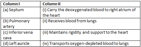 Science Olympiad Previous Year Paper - 3 | Olympiad Preparation for Class 10