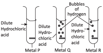 Science Olympiad Previous Year Paper - 3 | Science Olympiad Class 8