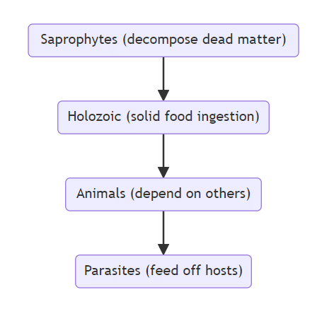 Mnemonics: Life Processes | Science Class 10