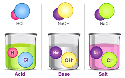 Olympiad Notes: Acids, Bases and Salts | Olympiad Preparation for Class 10