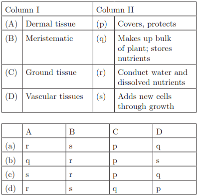 Class 9 Science Chapter 6 Practice Question Answers - Tissues